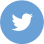 DNL Build TWITTER